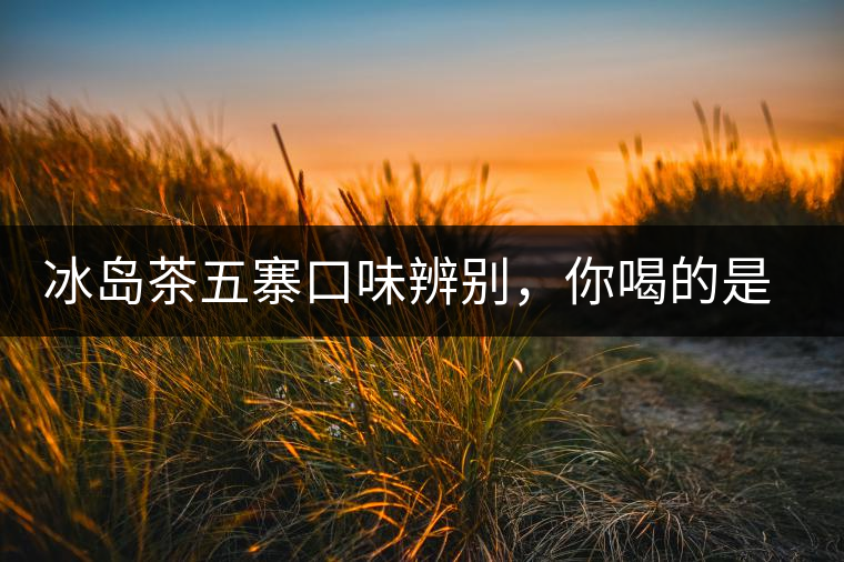 冰島茶五寨口味辨別，你喝的是正宗冰島茶嗎?冰島茶五寨口味辨別，你喝的是正宗冰島茶嗎？