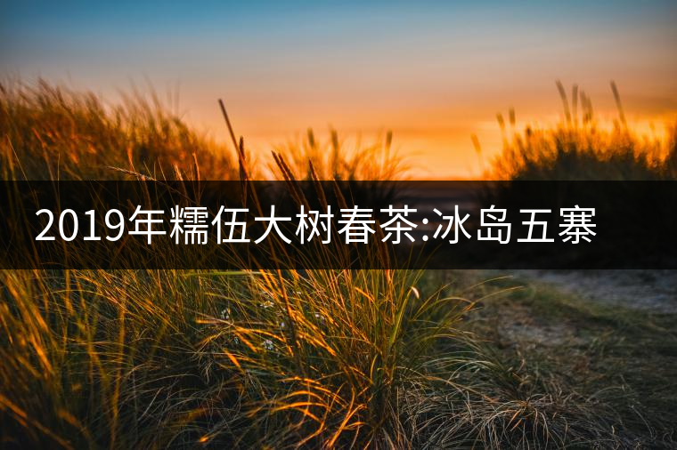 2019年糯伍大樹(shù)春茶:冰島五寨甜柔口感的代表，售價(jià)不...2019年糯伍大樹(shù)春茶：冰島五寨甜柔口感的代表，售價(jià)不到500