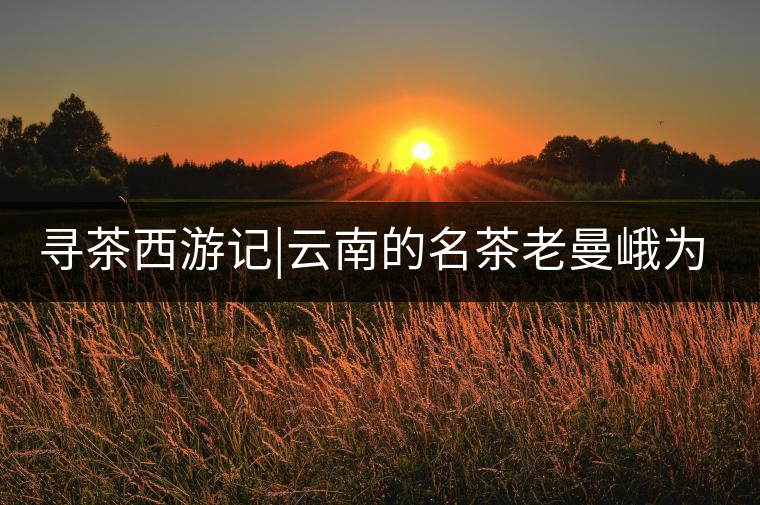 尋茶西游記|云南的名茶老曼峨為什么這么多人愛，這里...尋茶西游記｜云南的名茶老曼峨為什么這么多人愛，這里給你答案！