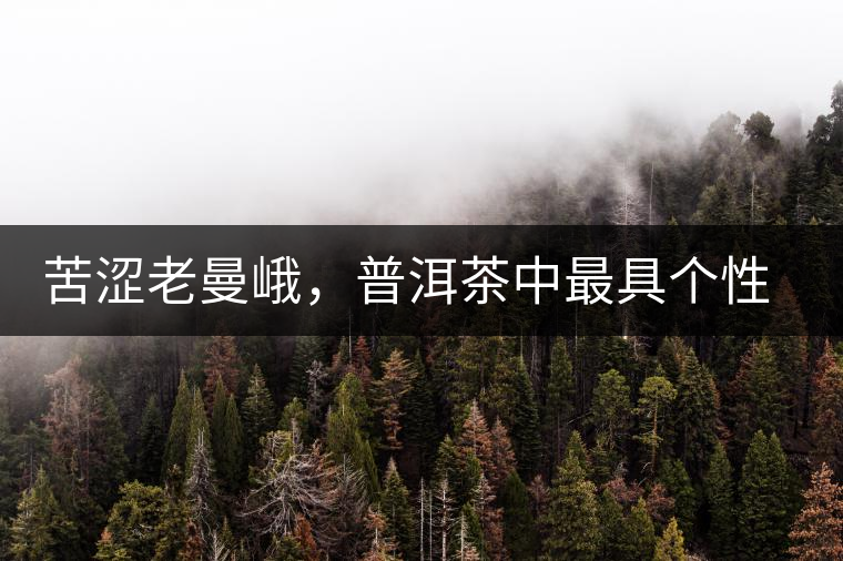 苦澀老曼峨，普洱茶中最具個(gè)性的“布朗味”苦澀老曼峨，普洱茶中最具個(gè)性的“布朗味”