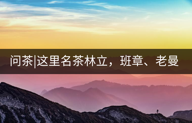 問茶|這里名茶林立，班章、老曼峨皆在其列!問茶｜這里名茶林立，班章、老曼峨皆在其列！