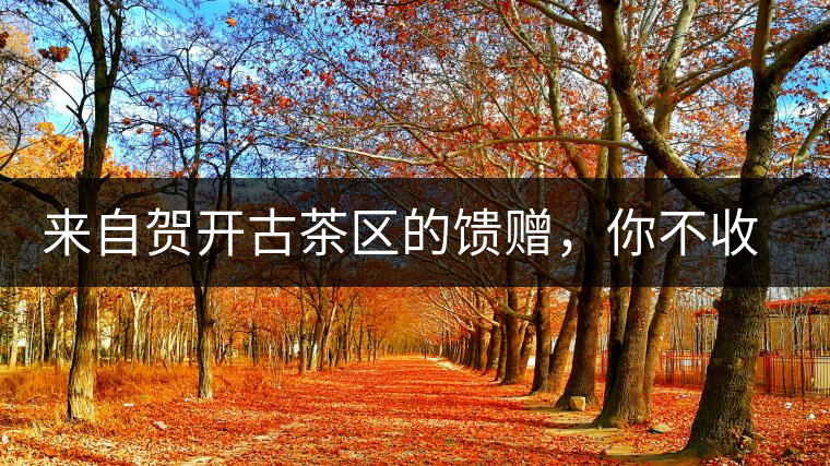 來自賀開古茶區(qū)的饋贈，你不收一波嗎?來自賀開古茶區(qū)的饋贈，你不收一波嗎？