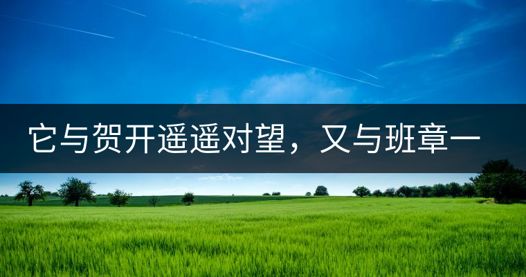 它與賀開遙遙對望，又與班章一衣帶水，它是班盆古樹春尖它與賀開遙遙對望，又與班章一衣帶水，它是班盆古樹春尖