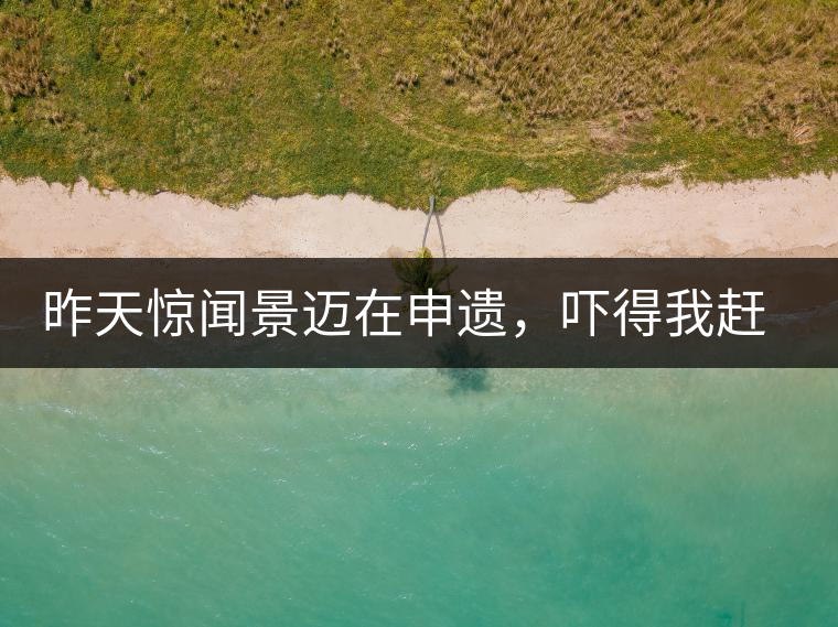 昨天驚聞景邁在申遺，嚇得我趕緊拿出景邁茶……昨天驚聞景邁在申遺，嚇得我趕緊拿出景邁茶……