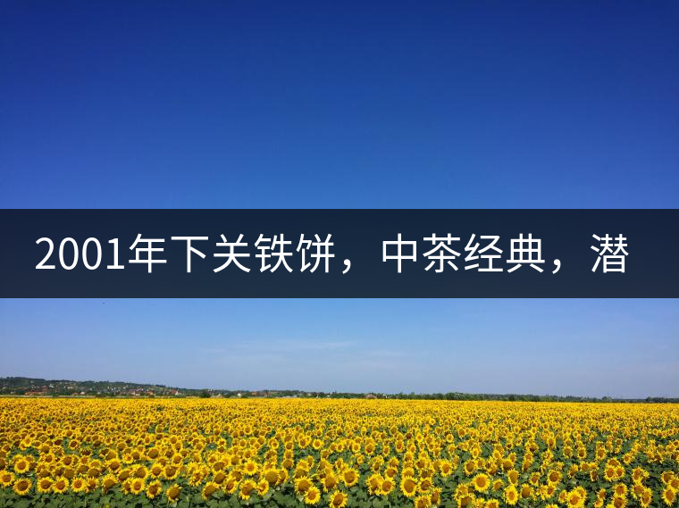 2001年下關(guān)鐵餅，中茶經(jīng)典，潛力可期!