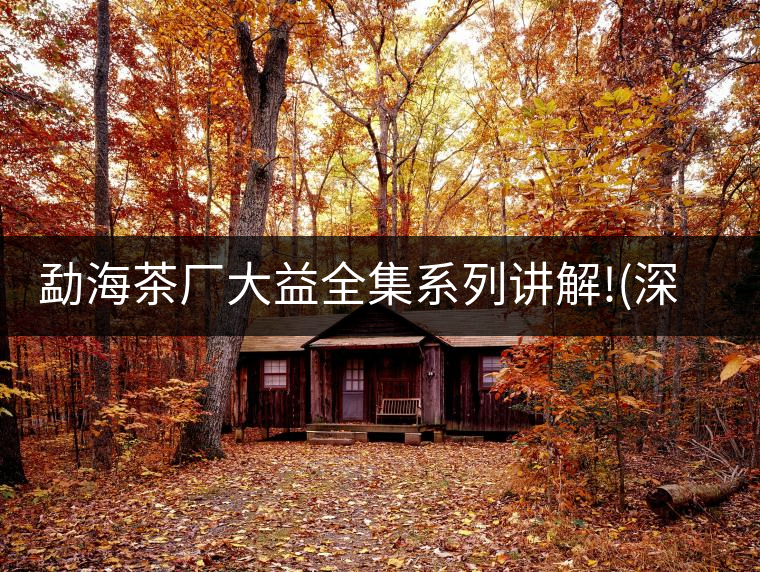 勐海茶廠大益全集系列講解!(深度講解大益茶品，建議收藏...勐海茶廠大益全集系列講解?。ㄉ疃戎v解大益茶品，建議收藏）