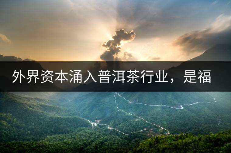 外界資本涌入普洱茶行業(yè)，是福還是禍？