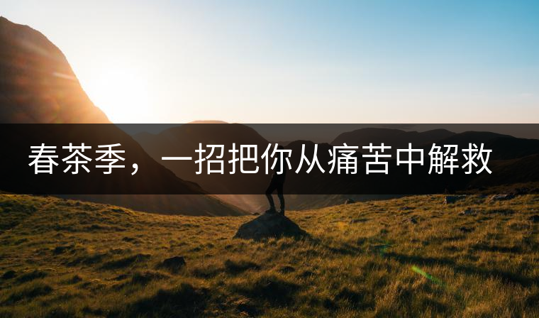 春茶季，一招把你從痛苦中解救出來