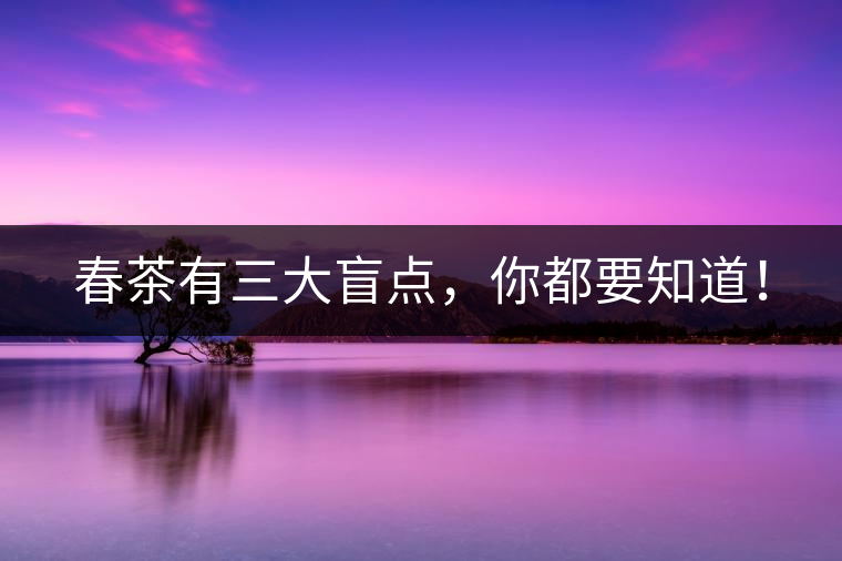 春茶有三大盲點，你都要知道！