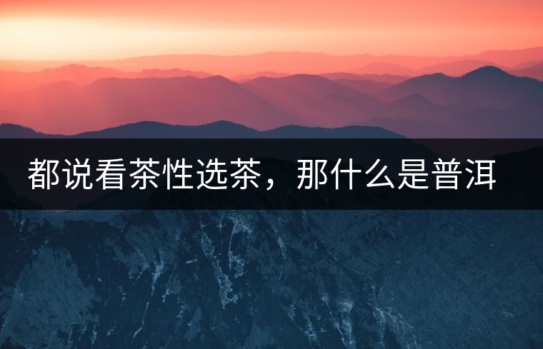 都說看茶性選茶，那什么是普洱茶的“茶性”呢？