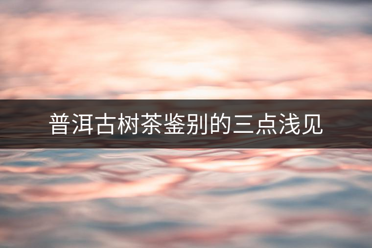 普洱古樹(shù)茶鑒別的三點(diǎn)淺見(jiàn)