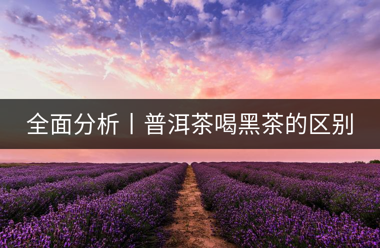 全面分析丨普洱茶喝黑茶的區(qū)別 全面分析丨普洱茶喝黑茶的區(qū)別
