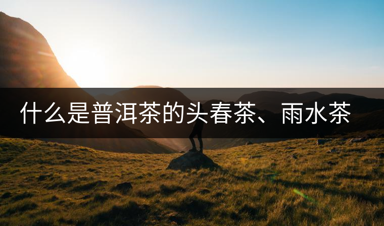 什么是普洱茶的頭春茶、雨水茶和谷花茶，怎樣區(qū)別？