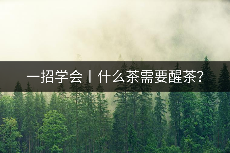 一招學(xué)會(huì)丨什么茶需要醒茶？