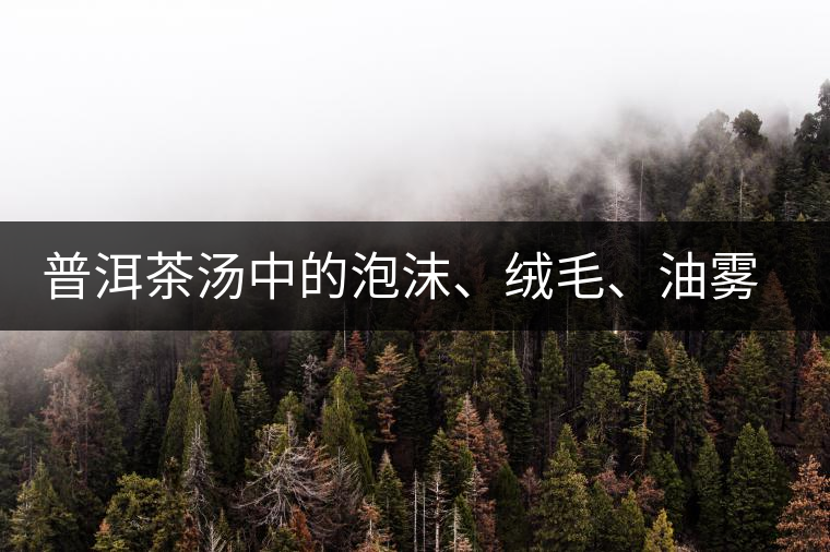 普洱茶湯中的泡沫、絨毛、油霧、絮狀物……原來是這些東西！