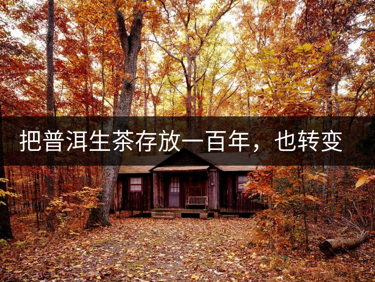 把普洱生茶存放一百年，也轉(zhuǎn)變不成熟茶