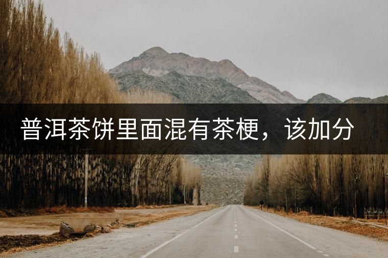 普洱茶餅里面混有茶梗，該加分還是減分？