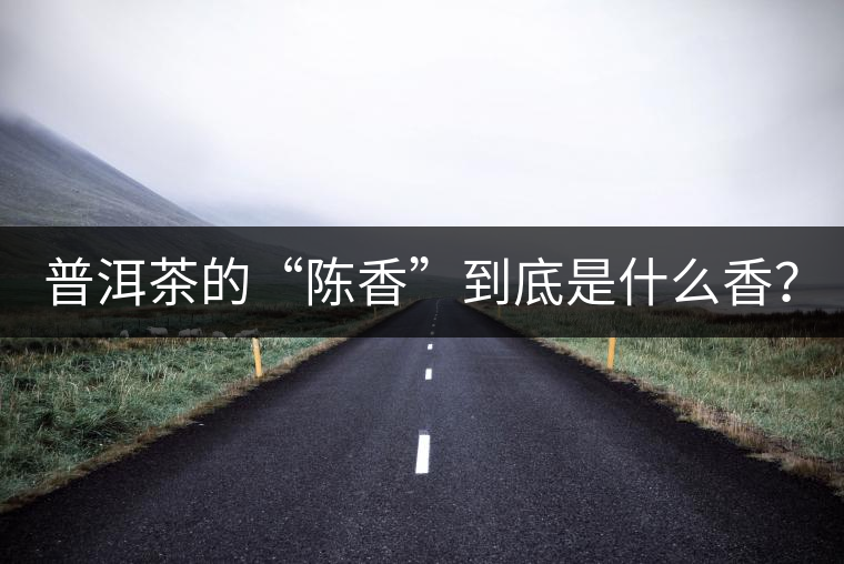 普洱茶的“陳香”到底是什么香？