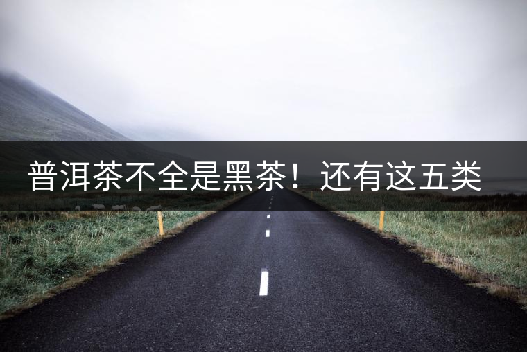 普洱茶不全是黑茶！還有這五類茶，現(xiàn)在知道還不算晚