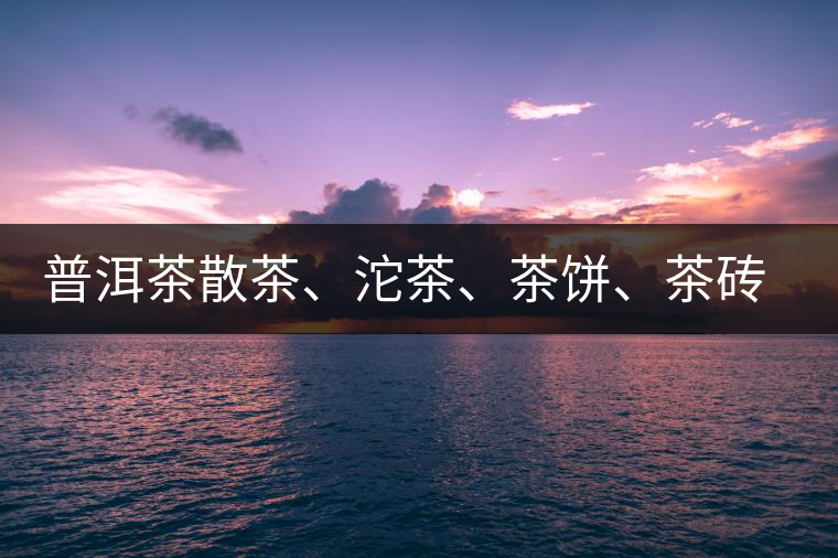 普洱茶散茶、沱茶、茶餅、茶磚哪種更好？