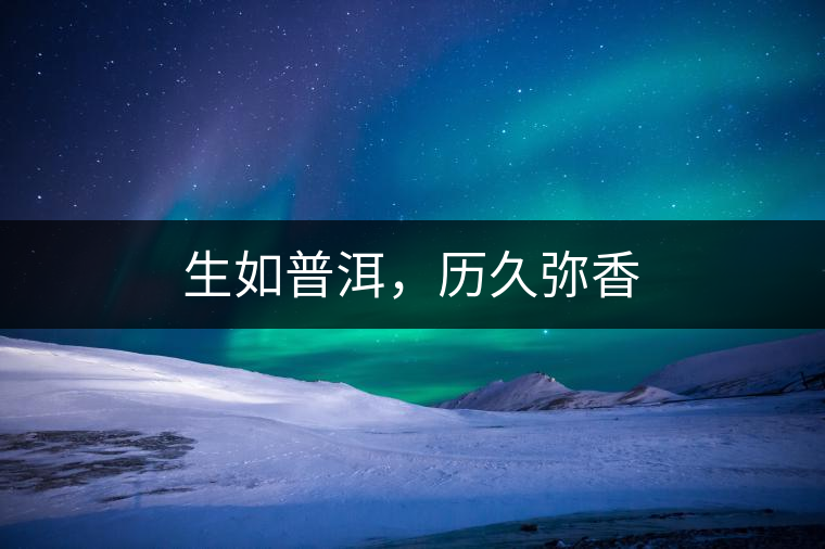 生如普洱，歷久彌香