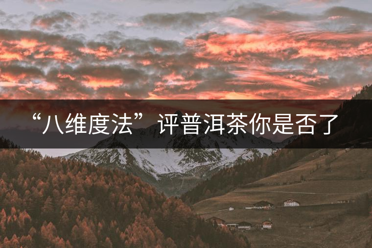 “八維度法”評普洱茶你是否了解！