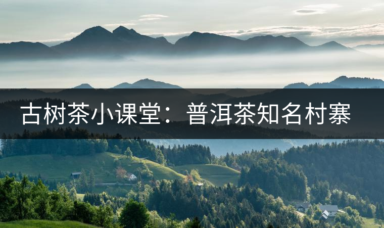 古樹茶小課堂：普洱茶知名村寨的生態(tài)環(huán)境如何？