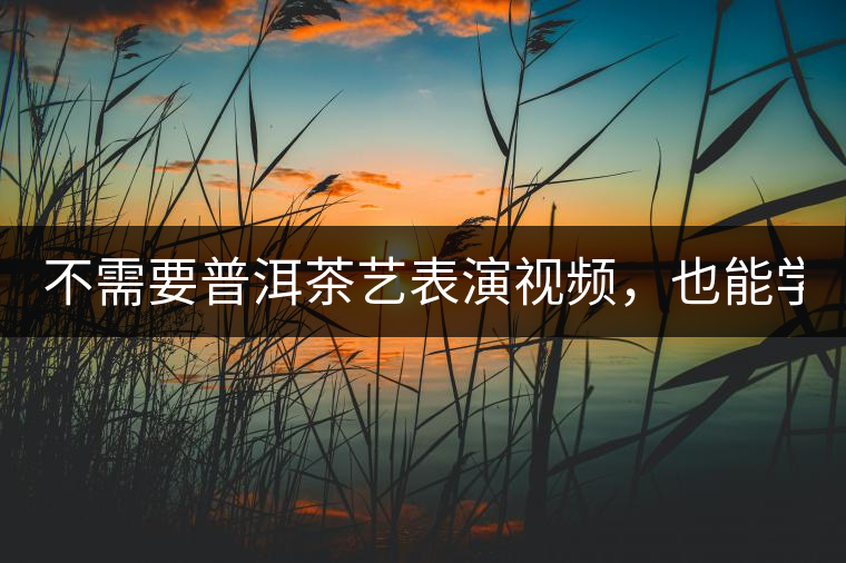 不需要普洱茶藝表演視頻，也能學(xué)會的茶藝！