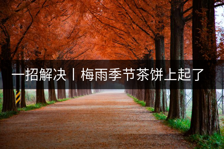 一招解決丨梅雨季節(jié)茶餅上起了白霜白點(diǎn)怎么辦？