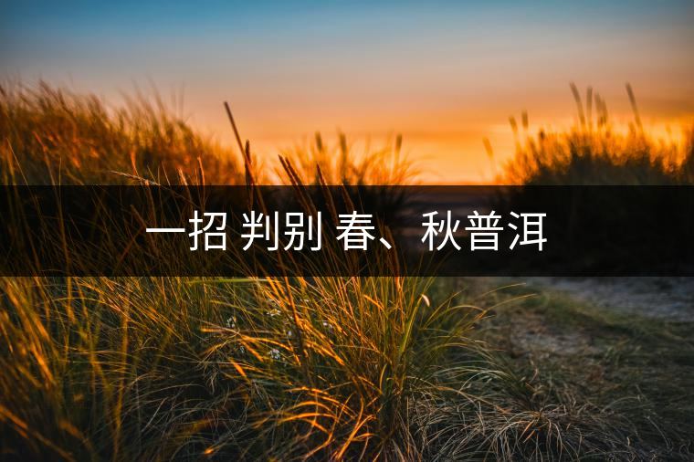 一招 判別 春、秋普洱