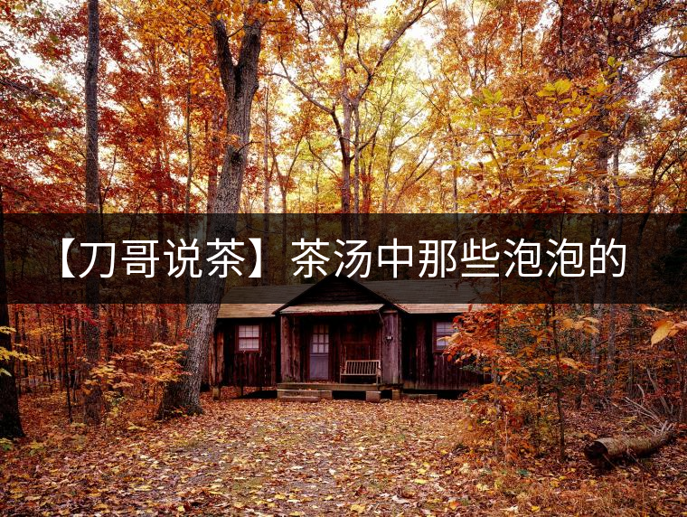 【刀哥說(shuō)茶】茶湯中那些泡泡的始作俑者，茶皂素只是其中一個(gè)