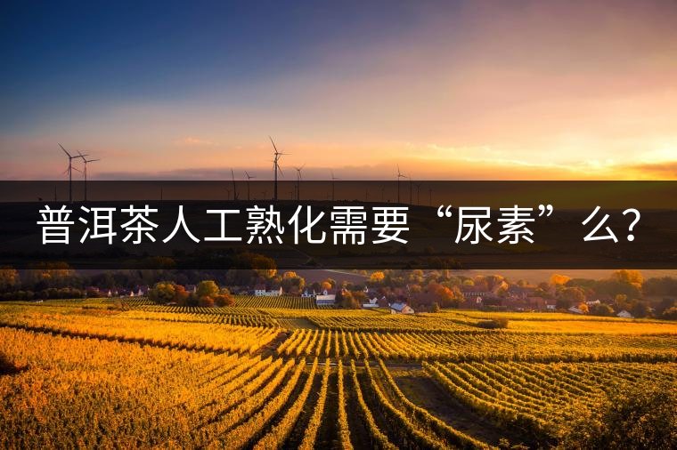 普洱茶人工熟化需要“尿素”么？