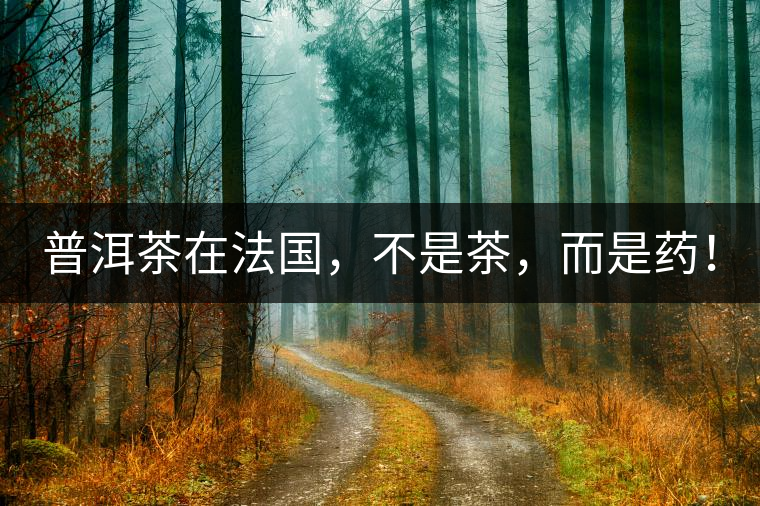 普洱茶在法國，不是茶，而是藥！