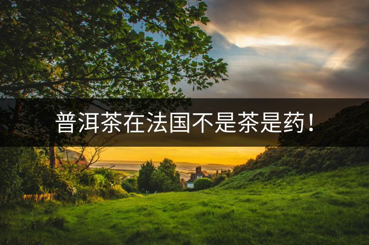普洱茶在法國不是茶是藥！