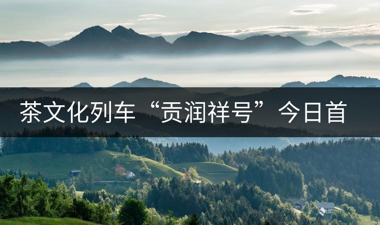 茶文化列車“貢潤祥號(hào)”今日首發(fā) 普洱茶膏搭上高鐵走出云南