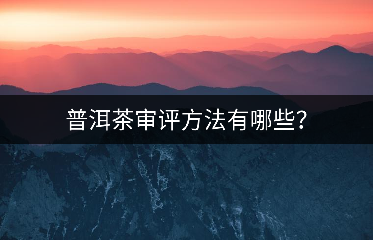 普洱茶審評方法有哪些？