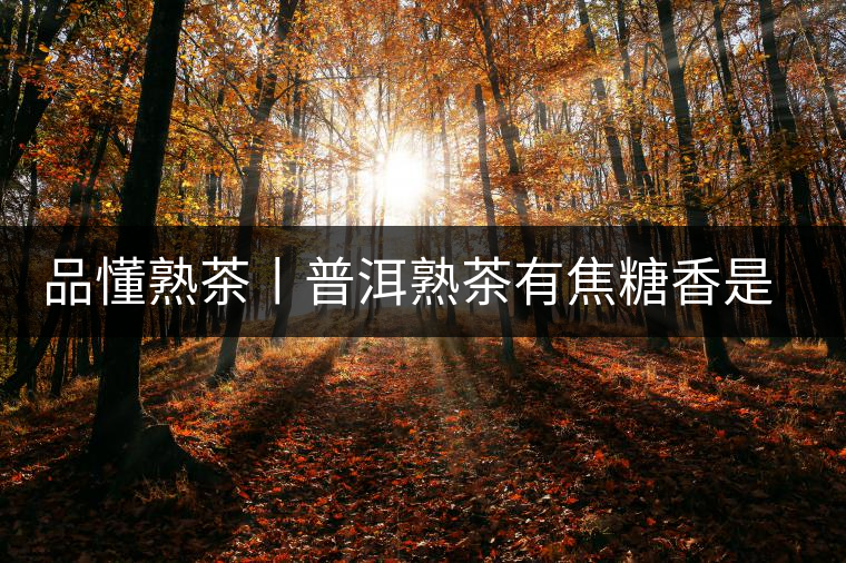 品懂熟茶丨普洱熟茶有焦糖香是好還是不好的表現(xiàn)？