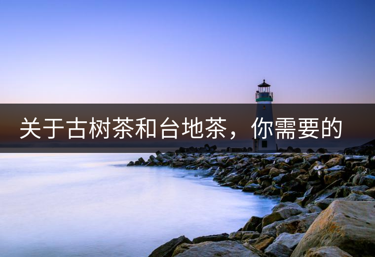 關(guān)于古樹茶和臺地茶，你需要的知識全在這里了