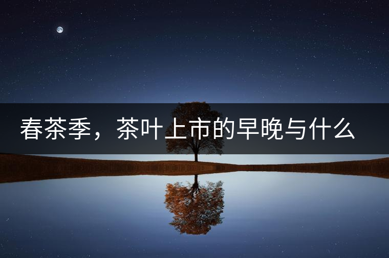 春茶季，茶葉上市的早晚與什么有關(guān)