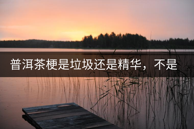 普洱茶梗是垃圾還是精華，不是一個人說的算