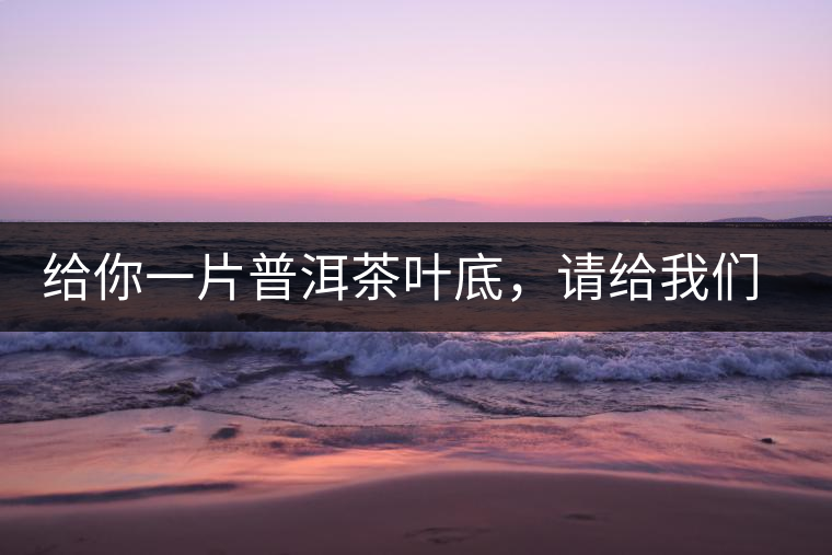 給你一片普洱茶葉底，請給我們聊聊它的生態(tài)和樹齡