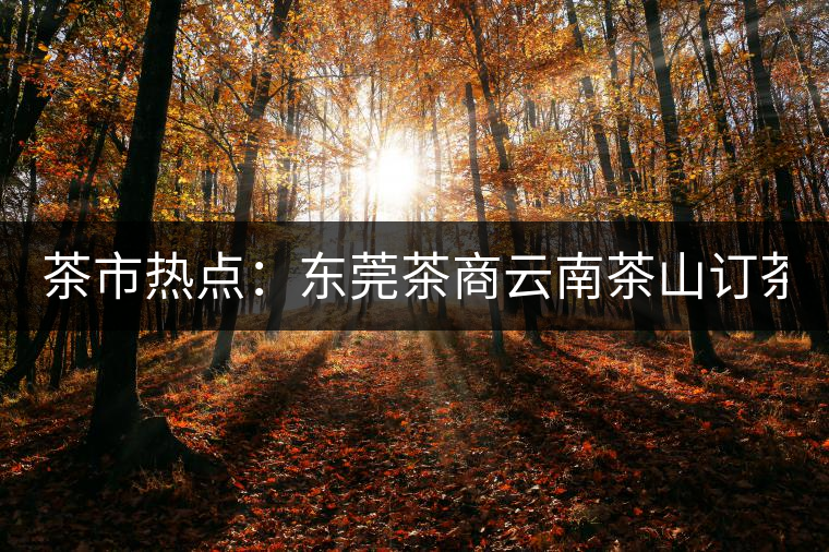 茶市熱點(diǎn):東莞茶商云南茶山訂茶 豪派300萬(wàn) 茶市熱點(diǎn):東莞茶商云南茶山訂茶 豪派300萬(wàn)