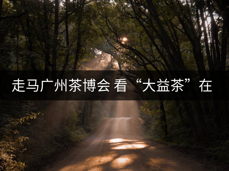 走馬廣州茶博會(huì) 看“大益茶”在傳承與創(chuàng)新中發(fā)展