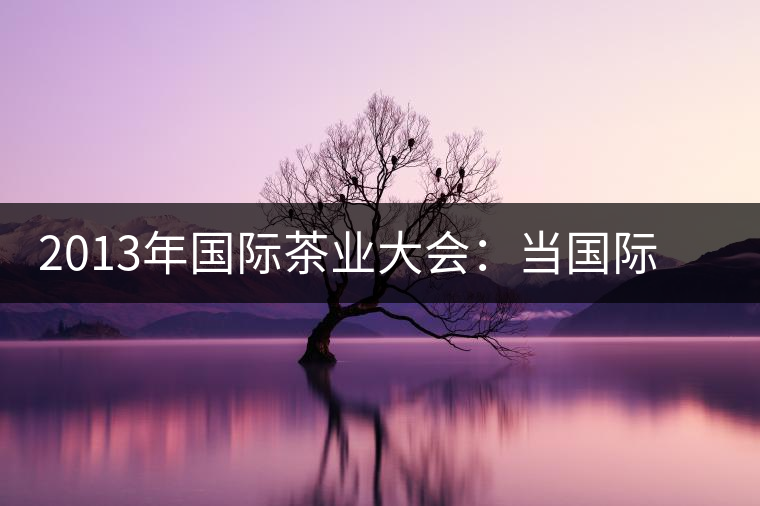 2013年國際茶業(yè)大會：當國際元素遇上普洱