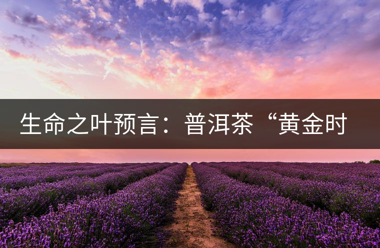 生命之葉預(yù)言：普洱茶“黃金時(shí)代”即將再度來(lái)臨