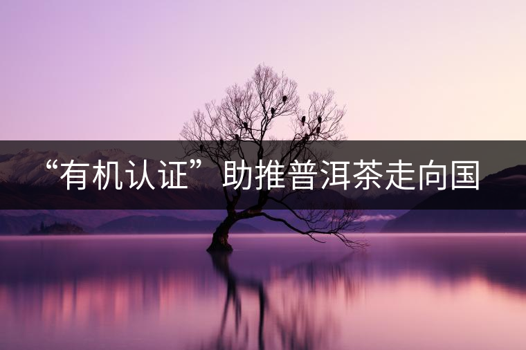 “有機(jī)認(rèn)證”助推普洱茶走向國(guó)際 “有機(jī)認(rèn)證”助推普洱茶走向國(guó)際