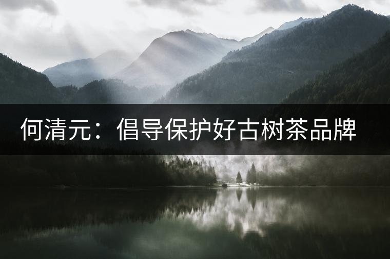 何清元:倡導(dǎo)保護(hù)好古樹茶品牌資源 何清元:倡導(dǎo)保護(hù)好古樹茶品牌資源