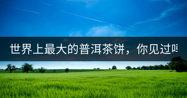 世界上最大的普洱茶餅，你見過嗎？