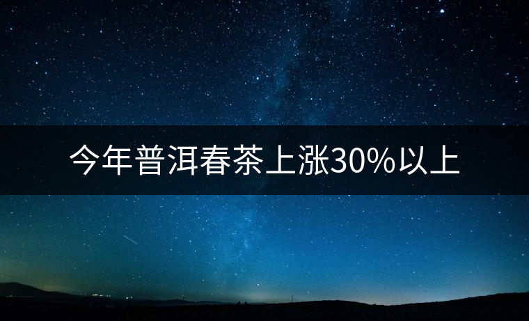 今年普洱春茶上漲30%以上