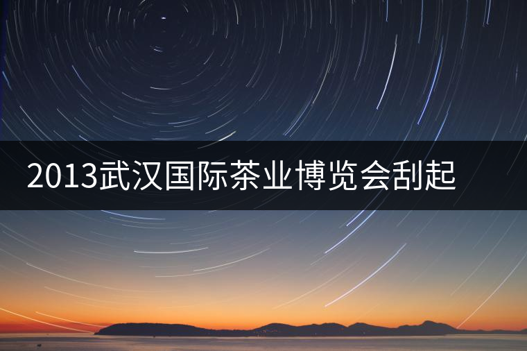 2013武漢國(guó)際茶業(yè)博覽會(huì)刮起一股“黑旋風(fēng)